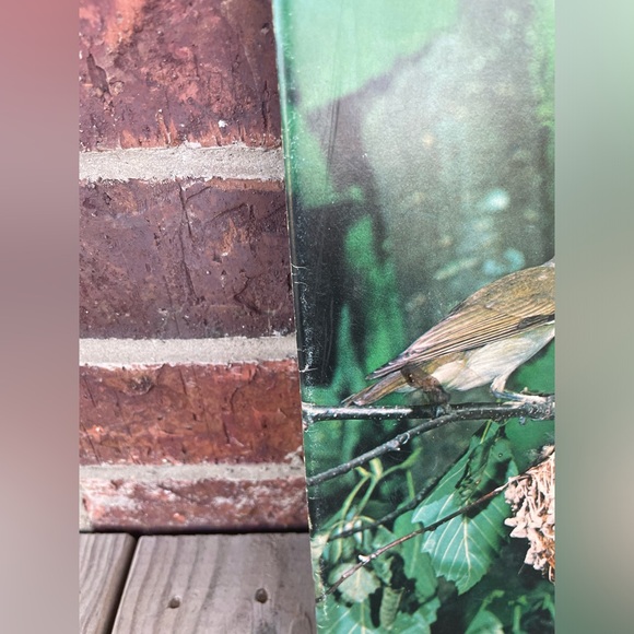 Vintage Preowned National Wildlife Magazine June July 1977 - Picture 4 of 7